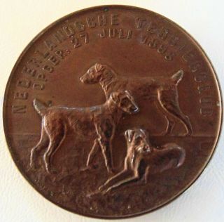 Rare Antique Dutch Bronze Terrier Dog Medal 1904