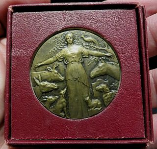 French Art Bronze Animal Protection Medal Donkey Horse Sheep Dog Cat - Cased