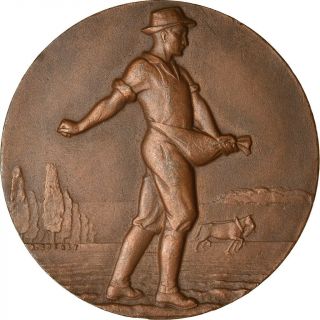 [ 5194] France,  Medal,  Agriculture,  Le Semeur,  Cochet,  Ms,  Bronze