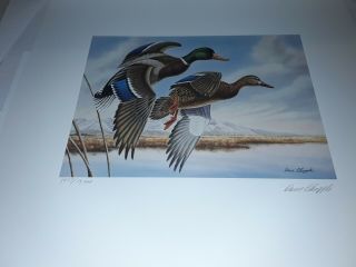 Utah III 1988 Duck Stamp Print By Dave Chapple Signed 2