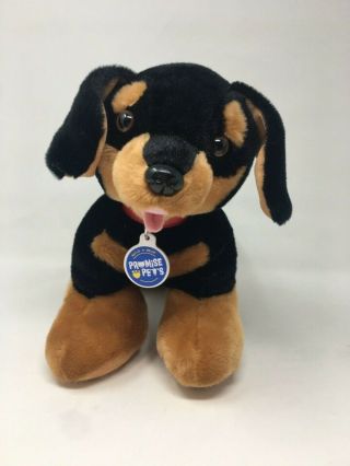 Build A Bear Promise Pets Dachshund Dog Brown Black 14 " Plush Stuffed Animal