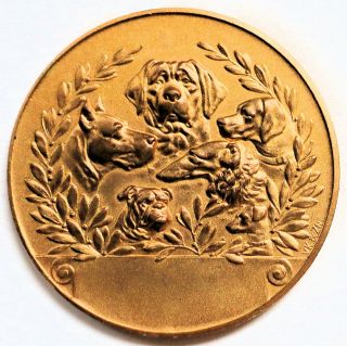 Antique Dutch Gilded Dog Medal Borzoi Great Dane Pointer Fox T Bull St.  Bernard