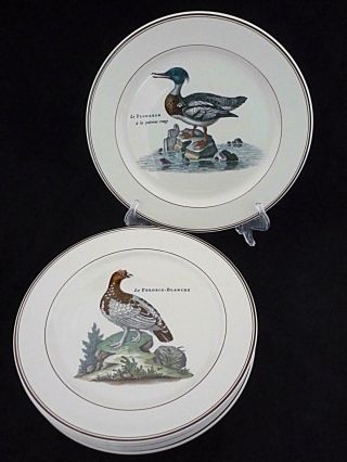 Villeroy & Boch Paradiso Set Of 6 Dinner Plates 10 1/2 " Game Birds