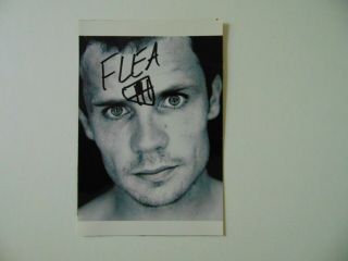 Vintage " Red Hot Chili Peppers " Flea Hand Signed 4x6 B&w Photo Todd Mueller