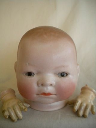 Antique Grace S.  Putnam Bye - Lo Baby Doll Head