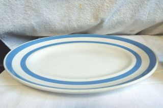 Vintage Blue/white Cornishware T.  G.  Green England Green Oval Platter 12 " X 9 "