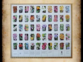 Us Scott 2647 - 2696 Wildflowers Flowers 1992 Mnh Sheet Of 50 29 Cent 29c Stamps