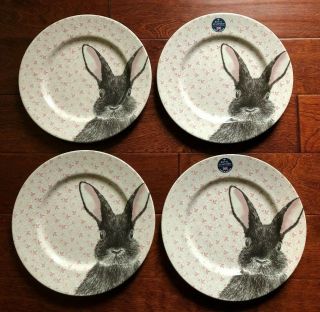 Royal Stafford Set Of 4 Bunny Rabbit 11 " Dinner Plates Easter Pink England