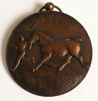 Ant.  Belgian Bronze Draft Horse Medal Horse Handling 1931 By Heuser