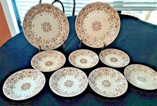 Group Of 9 Tournay Brown & White Dishes Royal Premium T&r Boote England