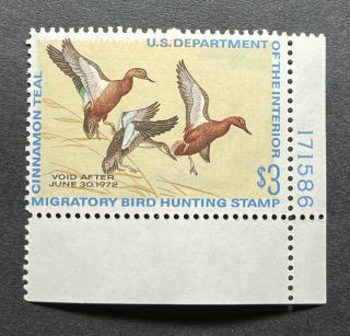 Wtdstamps - Rw38 1971 Plate - Us Federal Duck Stamp - Og Nh