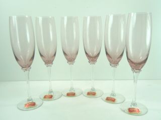 Gorham Crystal Pastelle Orchid Champagne Flute Set Of 6 Nib
