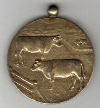 1931 Dutch Silver Award Medal For The Agricultural Exhibition At Leeuwarden
