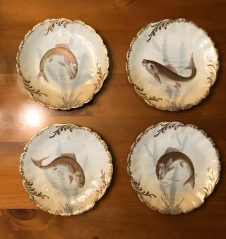 Four Antique Plates Each Painted With A Different Fish.  French 19th Century