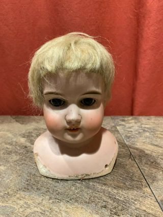Antique German Bisque Doll Head Only Marked Majestic