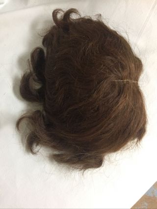 Vintage Large Doll Wig,  Short Hair,  Size 15 3