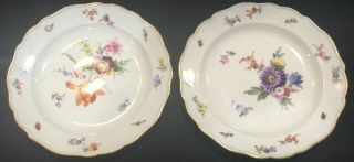 2 Gorgeous Antique Meissen Hand Painted Flowers & Insects Plates Floral