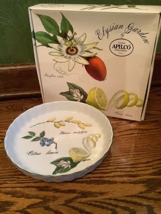 Apilco Elysian Garden Porcelain 10” Quiche Tart Flan Pie Dish W/ Box Made France