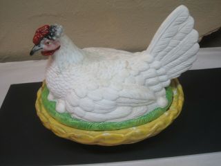 Antique Staffordshire Bisque Hen On Nest 8 1/2 " White With Lovely Detail