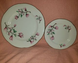 Vintage Homer Laughlin Dogwood Flower Set Of 14 Plates White/pink/gilt