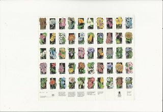 Us Stamps/sheet/postage Sct 2696a Wildflowers Mnh F - Vf Og Fv $1450