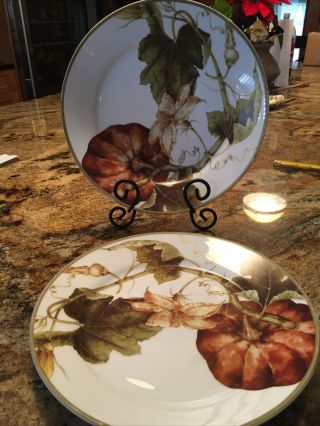 Williams Sonoma Botanical Pumpkin 11” Dinner Plates Set Of 4