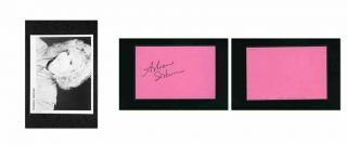 Arleen Sorkin - Signed Autograph And Headshot Photo Set - Harley Quinn