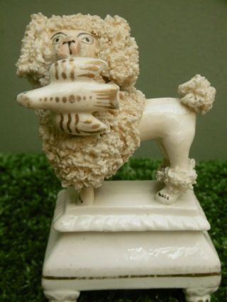 19thc Staffordshire Poodle Dog With Bird In Mouth On Raised Base C.  1850