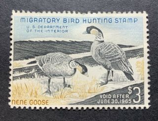 Wtdstamps - Rw31 1964 - Us Federal Duck Stamp - Ng
