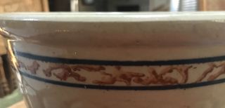 Antique Red Wing Sponge band Grey line Stoneware Bowl advertising Campbell Coal 2