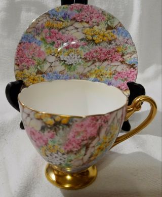Vitg Shelley " Rock Garden " Chintz Ripon Shaped Tea Cup & Saucer 13385 Gold Trim