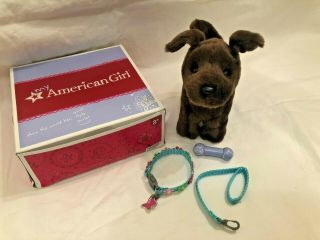 American Girl 18 " Doll Pet Dog Chocolate Lab Puppy With Flower Collar Leash Set