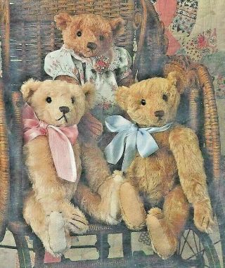 16 " Antique - Vintage Large Hump Back Jointed Steif Toy Stuffed Teddy Bear Pattern