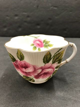 Vintage Antique English Shelley Rambler Rose Dainty Fine Bone China Teacup
