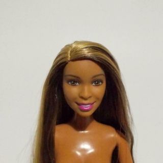 Barbie Aa Fashionista Doll Blonde Streaked Hair Jointed African American