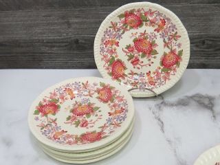 Set Of 8 Copeland Spode Aster Red Bread Butter Sided Plates