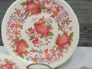 Set of 8 Copeland Spode Aster Red Bread Butter Sided Plates 3