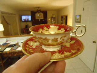 Wedgwood Tonquin Ruby Cup and Saucer 2