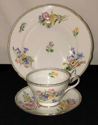 Shelley China Henley Wild Flowers Cup Saucer Plate Trio Set 213484