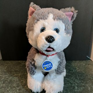Build A Bear Promise Pets Husky Dog W/collar & Tag Blue Eyes Stuffed Plush Babw