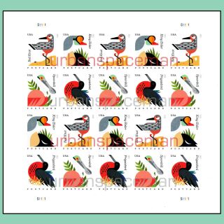 4991b - 94b Coastal Birds Postcard Rate 4 Designs Imperf Pane Of 20 No Die Cuts