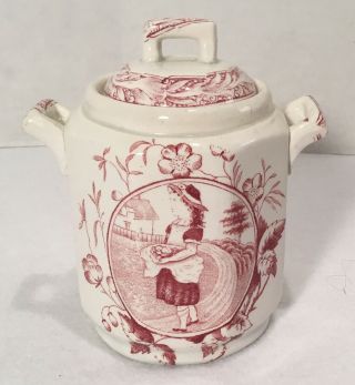 Antique Staffordshire Red Transfer Ware Sugar Jar/girl Apron Full Of Harvest