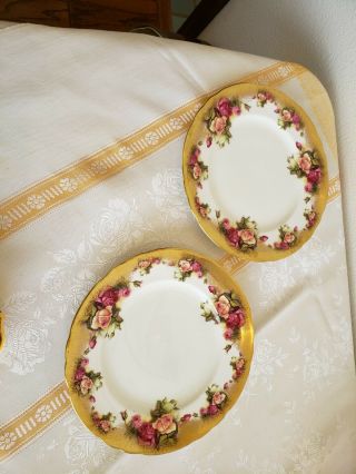 2 Vintage Royal Chelsea " Golden Rose " China Salad/luncheon Plates 8 1/2 " Gilted