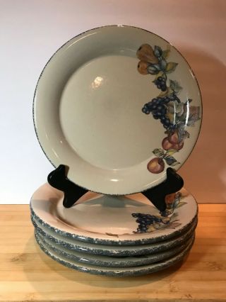 Home And Garden Party Stoneware Italian Dinner Plates Set Of Five