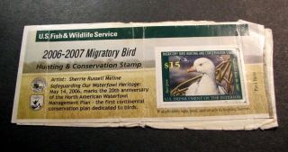 Us Stamp Scott Rw73a Hunting Permit 2006 Mnh C449