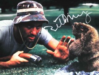 Bill Murray 11x14 Signed Photo Autographed Picture,