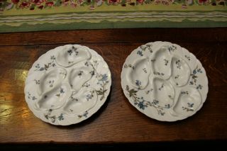 Porcelain Limoges Oyster Plate Set Of 2 Floral Blue Forget Me Nots Haviland