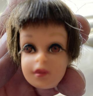 Vintage Francie Doll Mod Barbie 1965 Brunette Brown Eyes Eyelashes Head Only