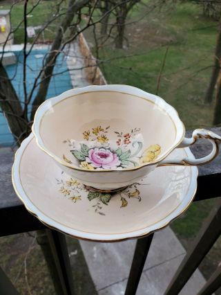 Gorgeous Paragon Teacup & Saucer Blush And Floral Design Double Warrant