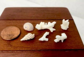 Vintage Dollhouse Miniature Coral And Shells Beach Sea